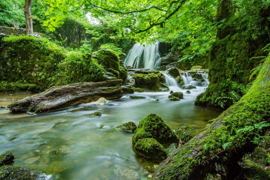 Como otimizar o perfil do Google Meu Negócio para ecoturismo em 2026: guia completo