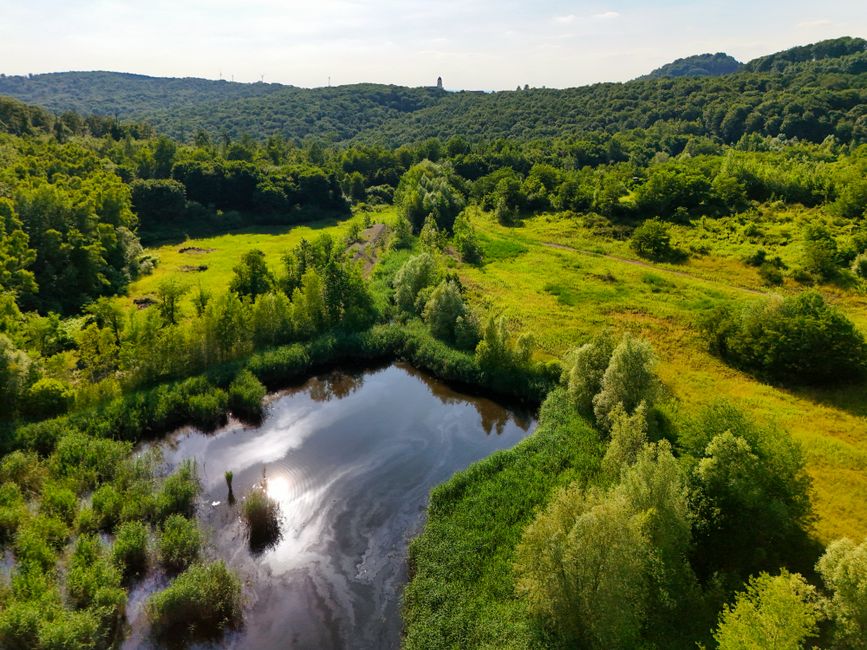 Imagem aérea de uma paisagem natural com lago, vegetação exuberante e áreas de floresta e campo aberto, destacando a beleza do meio ambiente e a preservação da natureza.