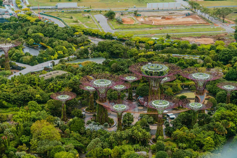 Imagem aérea do Jardim Jardim na Floresta de Cloud, destacando a integração do espaço natural com instalações modernas de lazer e preservação ambiental.