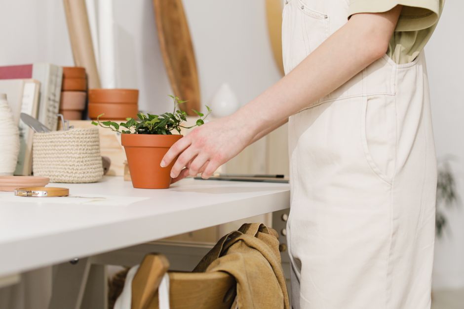 Pessoa cuidando de uma planta em um ambiente confortável, ideal para um blog sobre bem-estar e produtividade.
