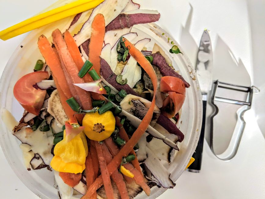 Como evitar desperdício de alimentos em casa: Guia completo para 2026