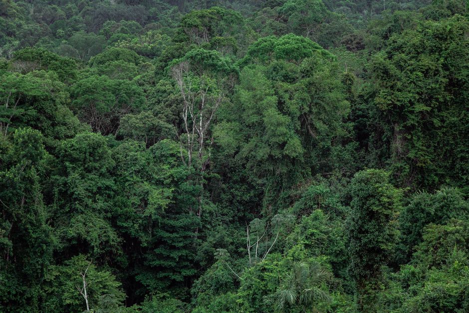 Melhores atrações para fazer em Manaus em 2026: guia completo
