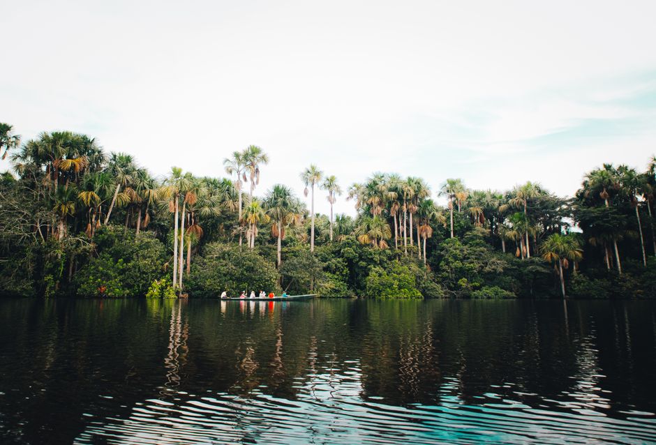 Paisagem de uma floresta tropical ao lado de um rio, com destaque para a vegetação exuberante e o reflexo na água.