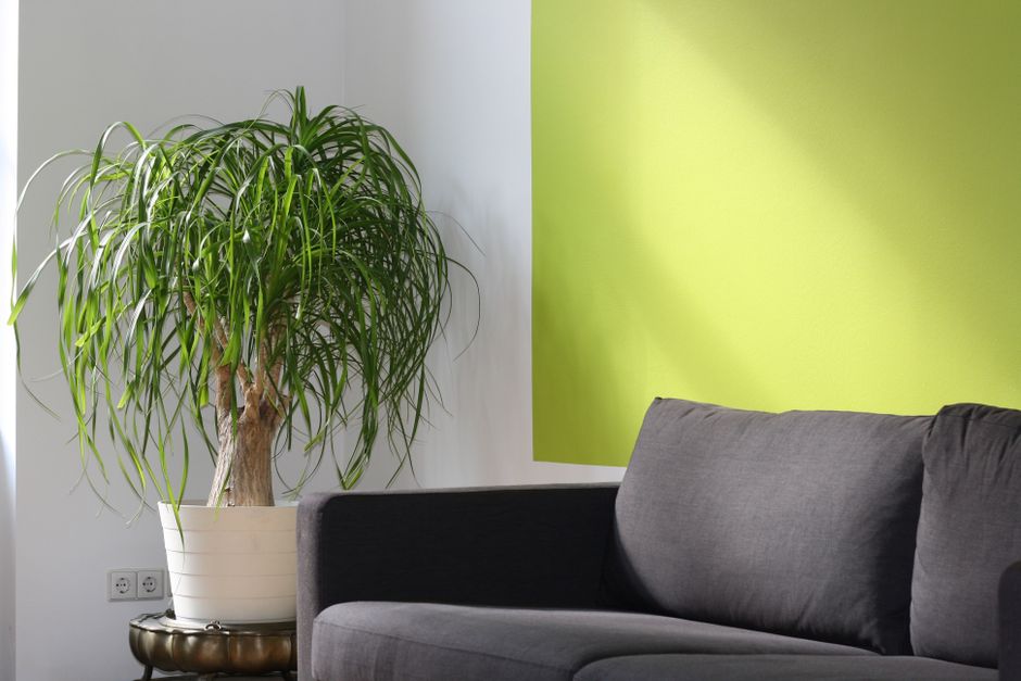Melhores dicas de decoração para casa nova em 2026: guia completo e prático