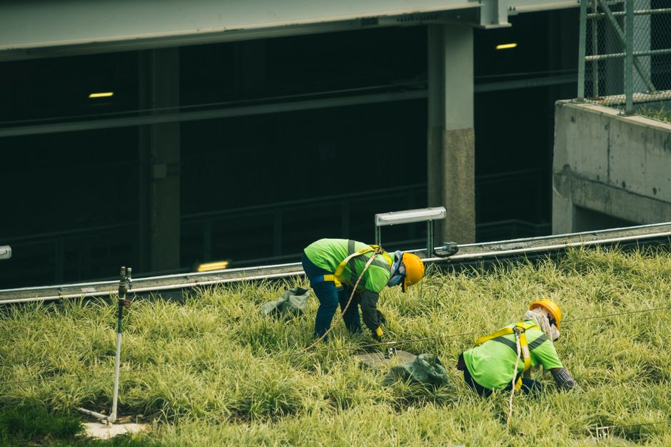 Dicas para manutenção de áreas verdes em construções: guia completo 2026