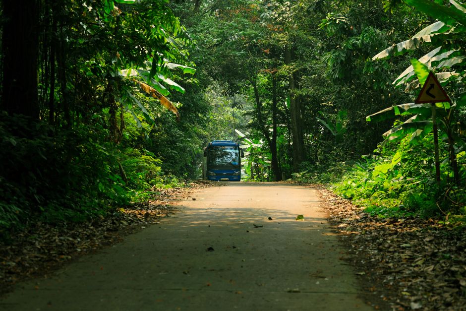 Melhores apps para ecoturismo e sustentabilidade em 2026: guia completo