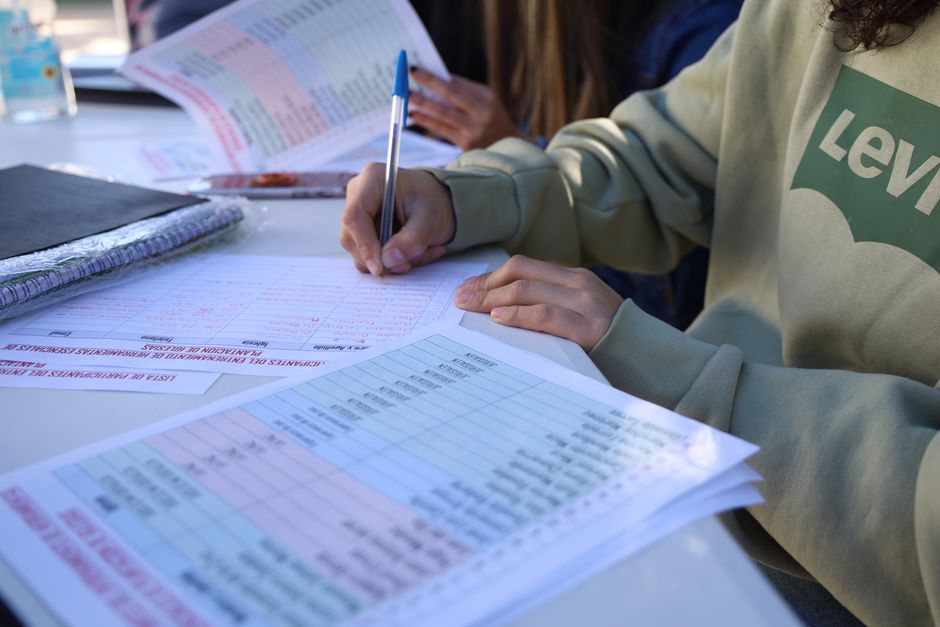 Pessoa analisando dados financeiros e planilhas, ilustrando planejamento ou gestão financeira.