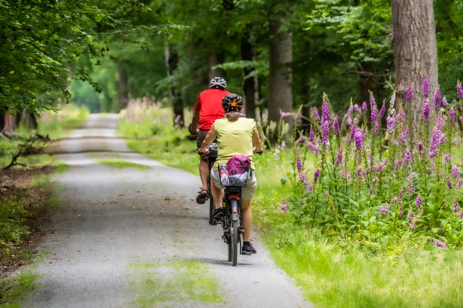 Duas pessoas fazendo um passeio de bicicleta por uma trilha na floresta, em meio à natureza e flores silvestres.