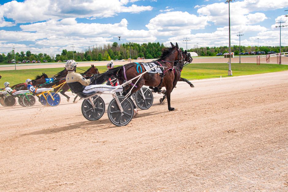 Imagem de uma corrida de cavalo com carruagens em uma pista ao ar livre, destacando o esporte de harness racing.