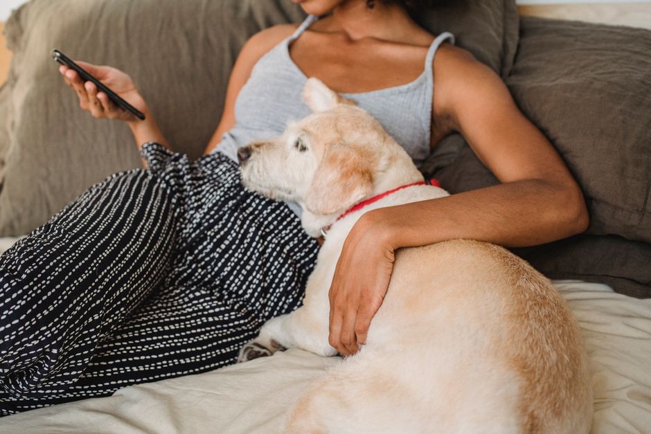 Mulher relaxando em casa com seu cachorro, usando o celular e demonstrando um momento de convivência e conforto doméstico.