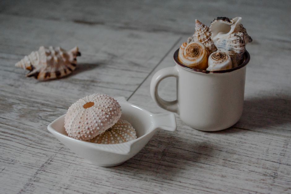 Imagem de uma xícara com conchas marinhas servindo como decoração ou recipiente, ao lado de uma pequena tigela com cookies decorativos em um ambiente de inspiração natural ou costeira.