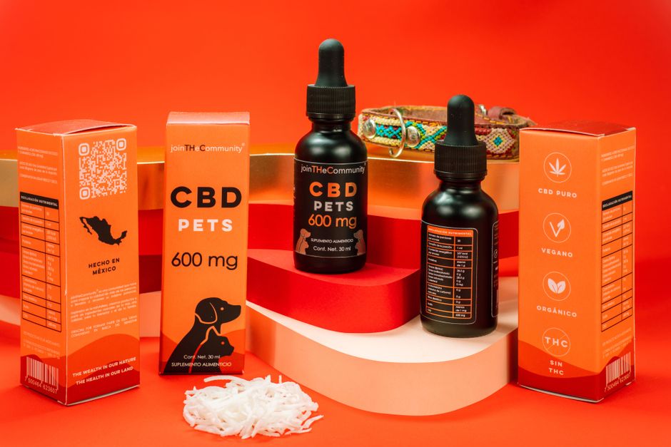 Melhores Produtos para Cuidados com Pets em Casa em 2026: Guia Completo