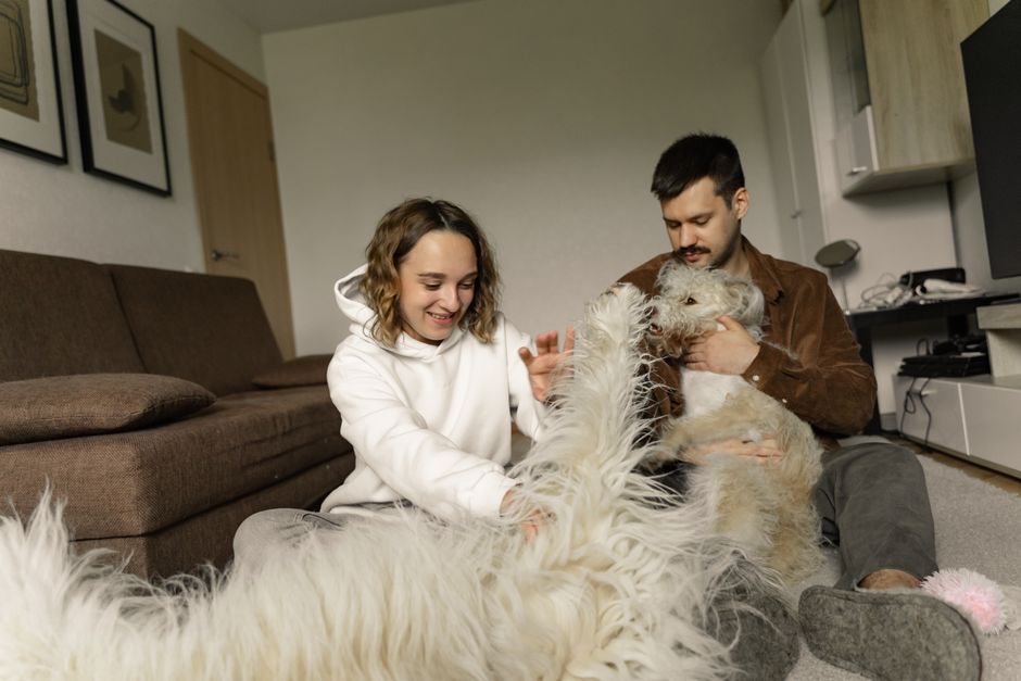 Casal interagindo com um cachorro de grande porte em um ambiente doméstico, demonstrando carinho e convivência familiar.