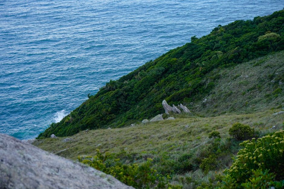 Paisagem costeira com penhasco verdejante e vista para o oceano, ideal para ilustrar conexão com a natureza ou destinos turísticos.