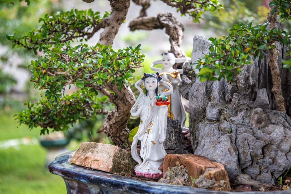Imagem de um bonsai adornado com figuras ornamentais de mulheres, criando um ambiente de tranquilidade e estética na natureza.