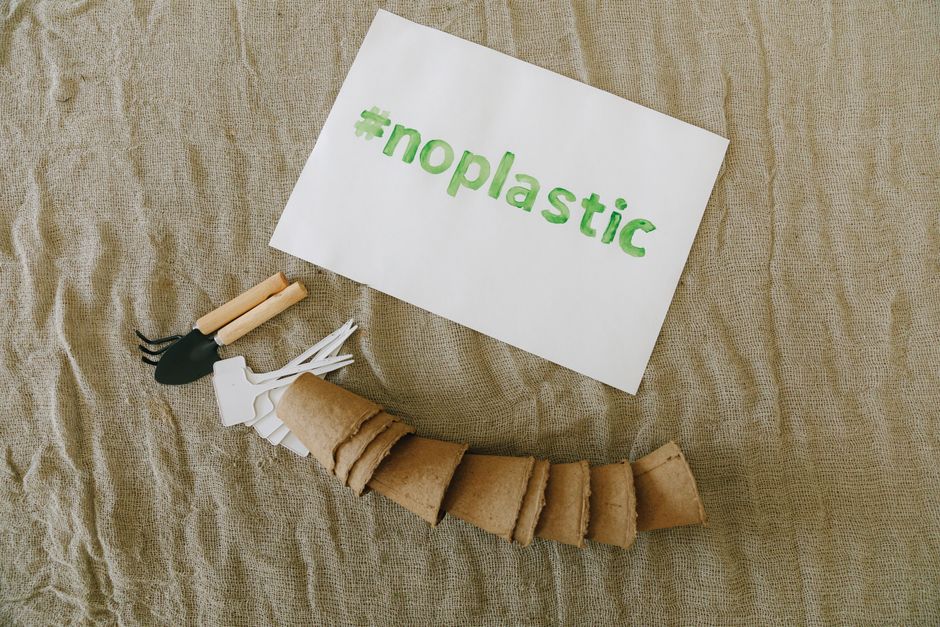 Imagem de um modelo de boca feito com materiais sustentáveis e uma placa com a hashtag #noplastic, promovendo a conscientização ambiental e o uso de alternativas ecológicas.