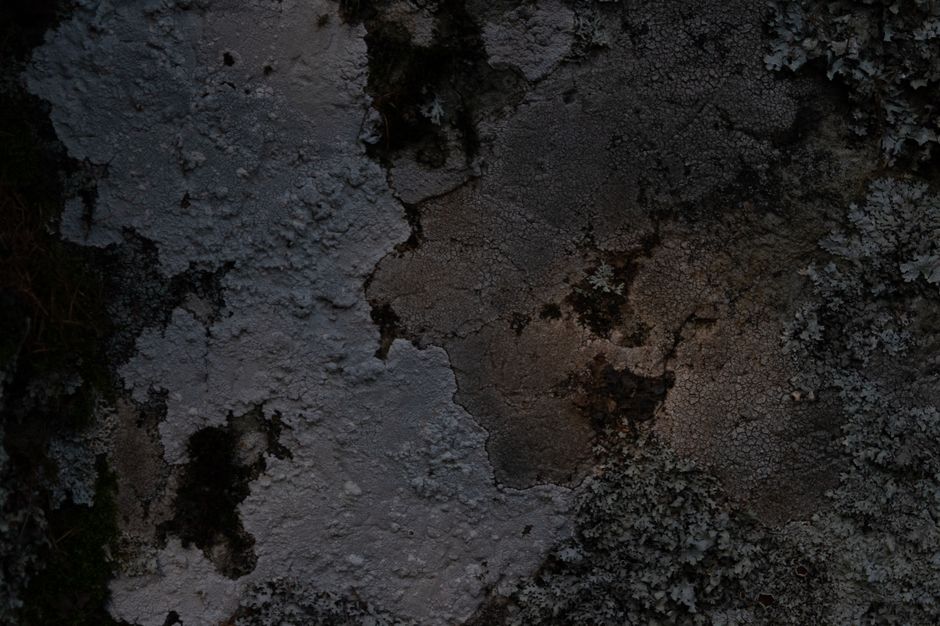 Imagem de uma superfície de solo ou rocha seca com textura rachada, possivelmente indicando um ambiente natural árido ou uma formação geológica.