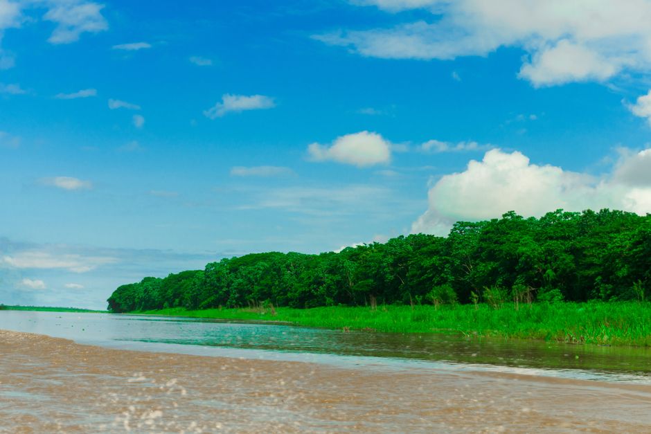 Praia com céu azul e vegetação ao fundo, ideal para um artigo sobre destinos ecológicos ou lazer na natureza.