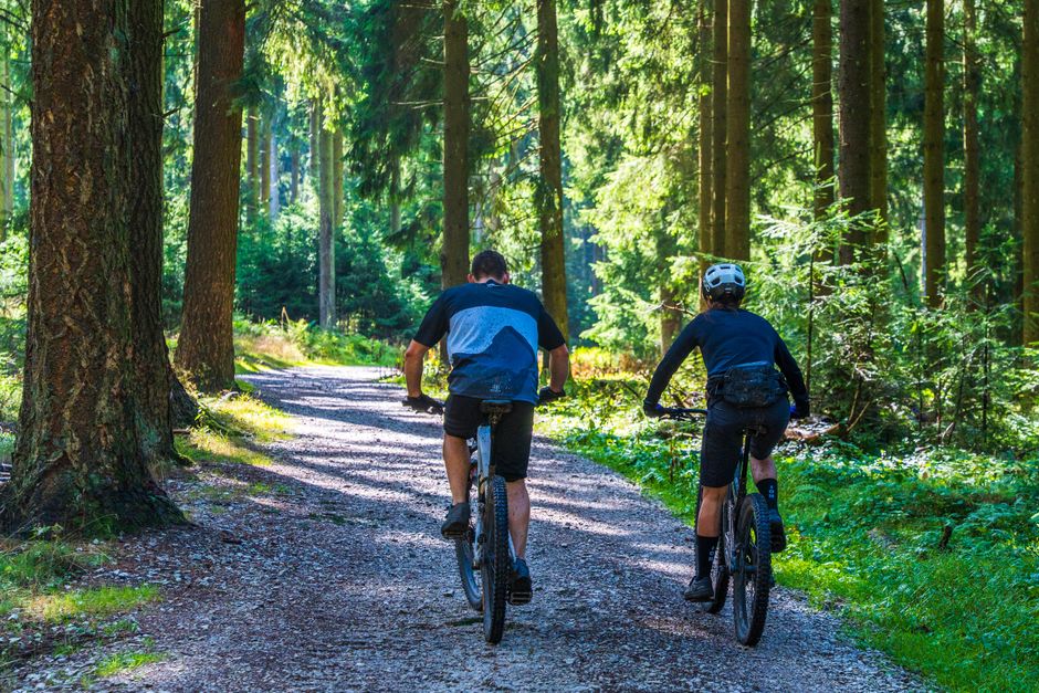 Casal de ciclistas explorando uma trilha na floresta em um dia ensolarado, apreciando a natureza e a atividade ao ar livre.