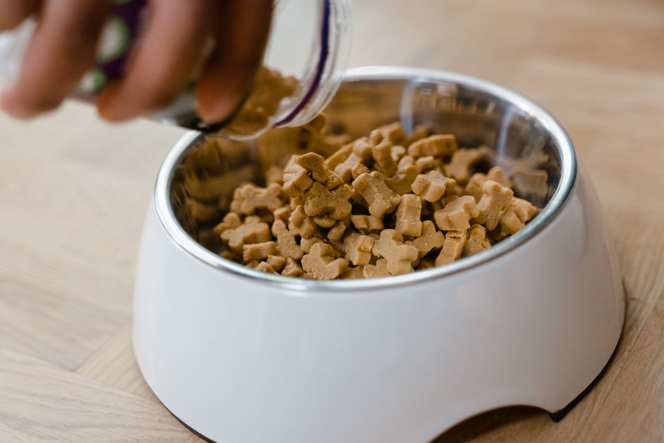 Imagem de um recipiente eletrônico com croquetes de animais de estimação sendo alimentados, destacando o tema de alimentação e cuidados com pets.