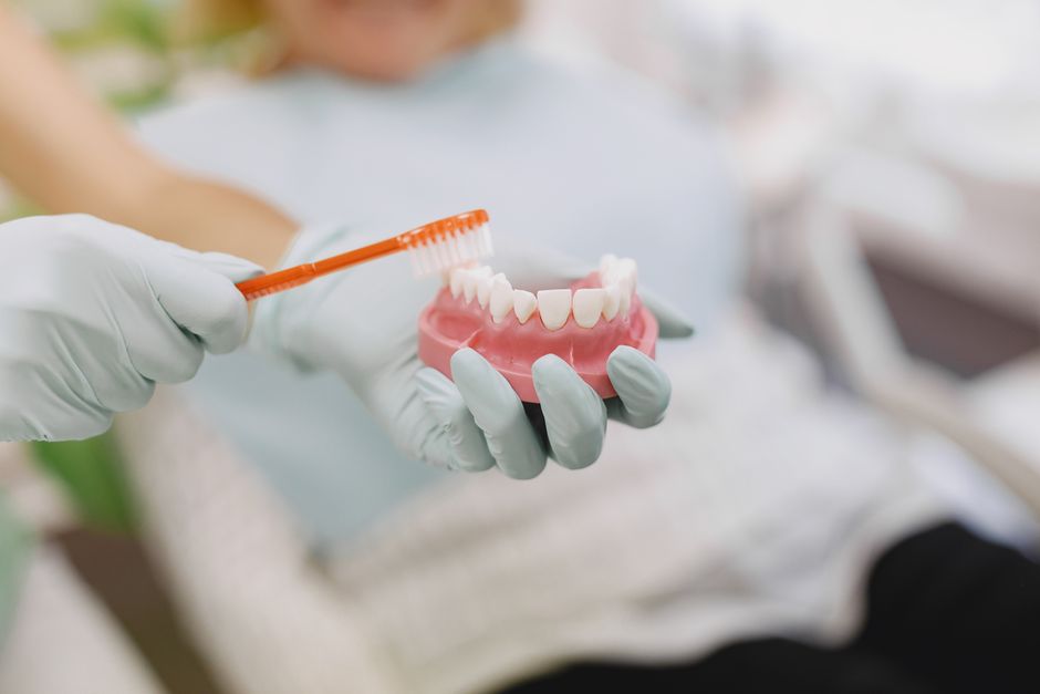 Profissional de odontologia demonstrando cuidados com a higiene bucal de um modelo de dentes para um paciente idoso.