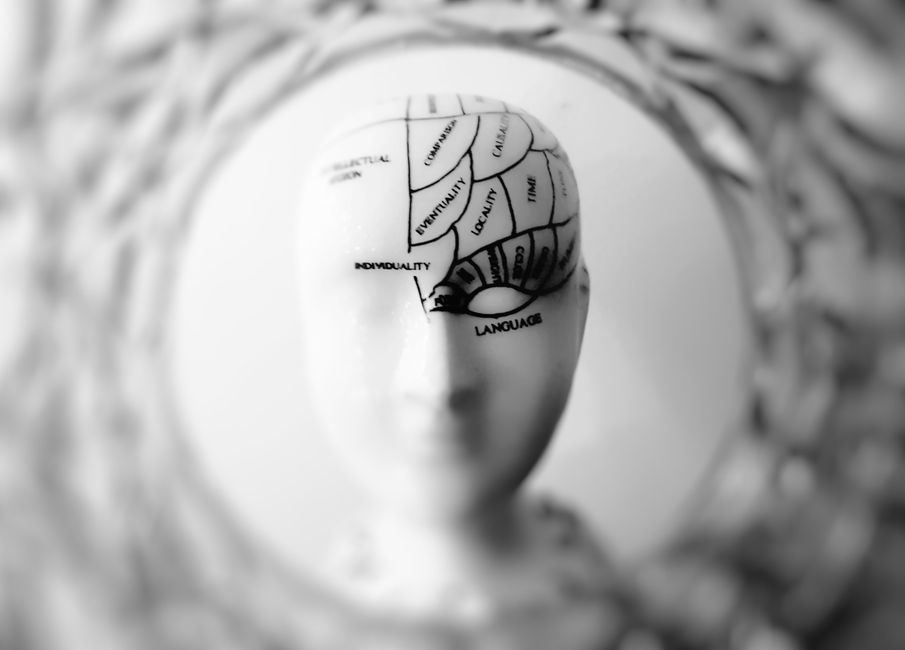 Imagem abstrata representando o funcionamento do cérebro e a importância do intelecto na tomada de decisões.
