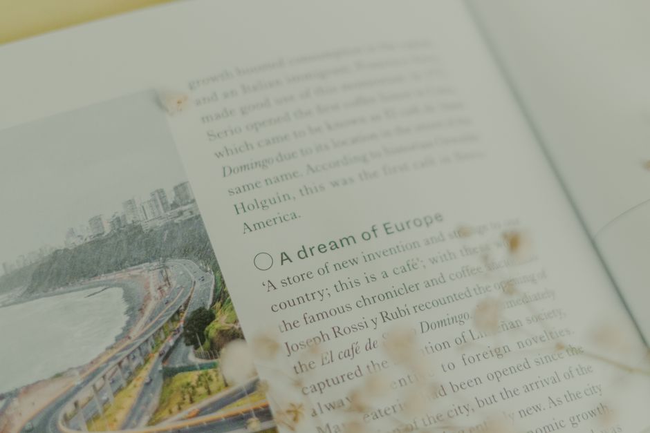 Imagem de uma página de livro com foco em temas de cultura e história europeia, acompanhada de elementos visuais de um texto impressa e uma foto de uma paisagem urbana junto ao mar.
