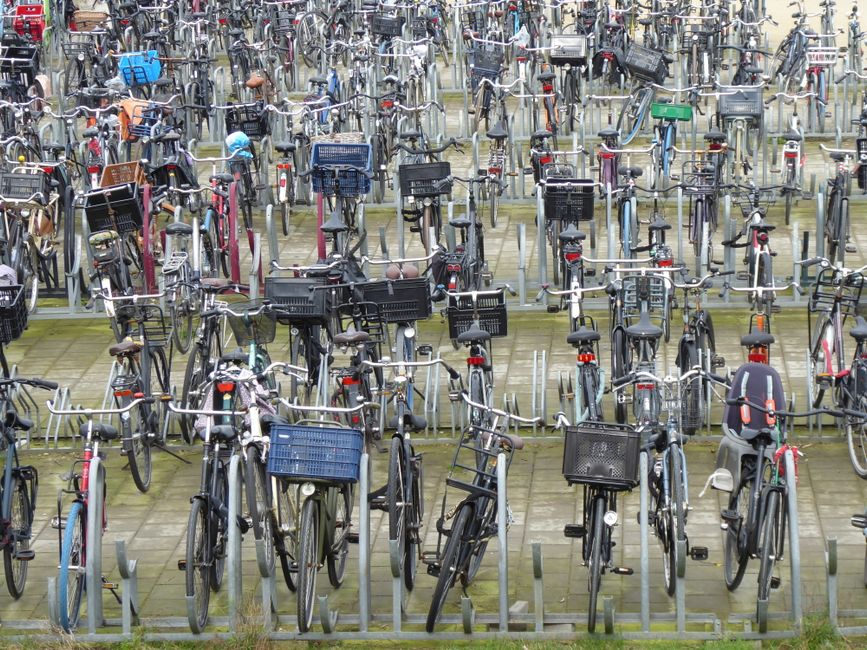 Dicas para se deslocar para o trabalho de bicicleta em 2026: guia completo