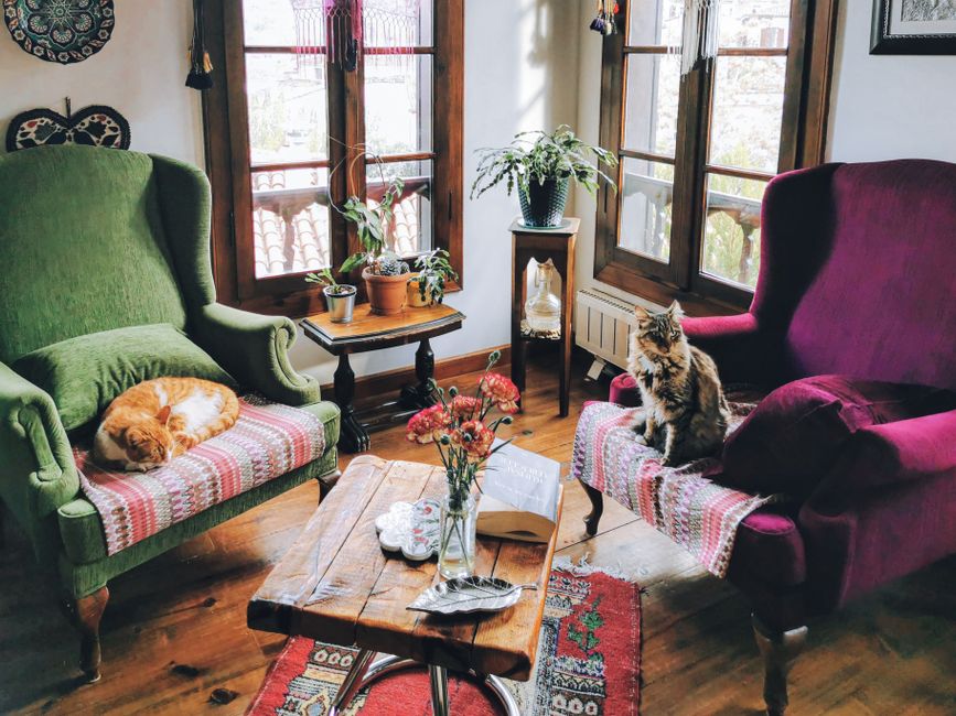 Sala de estar aconchegante com móveis vintage e animais de estimação, transmitindo conforto e tranquilidade para artigos sobre bem-estar e estilo de vida.