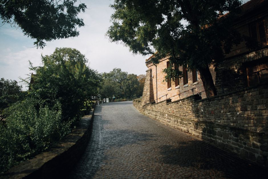 Rua de paralelepípedos com árvores e edifícios históricos, transmitindo uma atmosfera acolhedora e tradicional em uma cidade antiga.