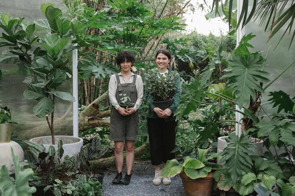 Dicas de profissões para quem gosta de plantas: 10 opções para 2026
