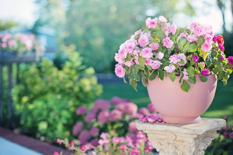 Dicas de decoração para jardins e áreas externas: Guia completo para 2026