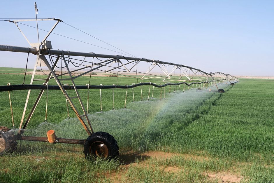 Sistema de irrigação controlando a distribuição de água no campo de cultivo de grama ou pastagem.