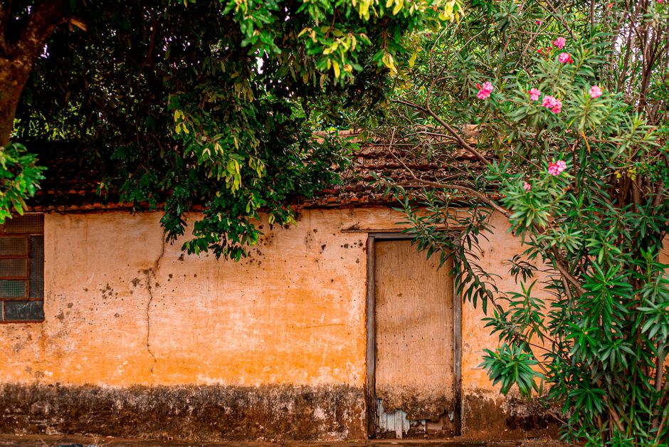 Casa antiga com parede de textura marcada pela passagem do tempo, rodeada por vegetação exuberante, transmitindo um clima de rusticidade e conexão com a natureza.