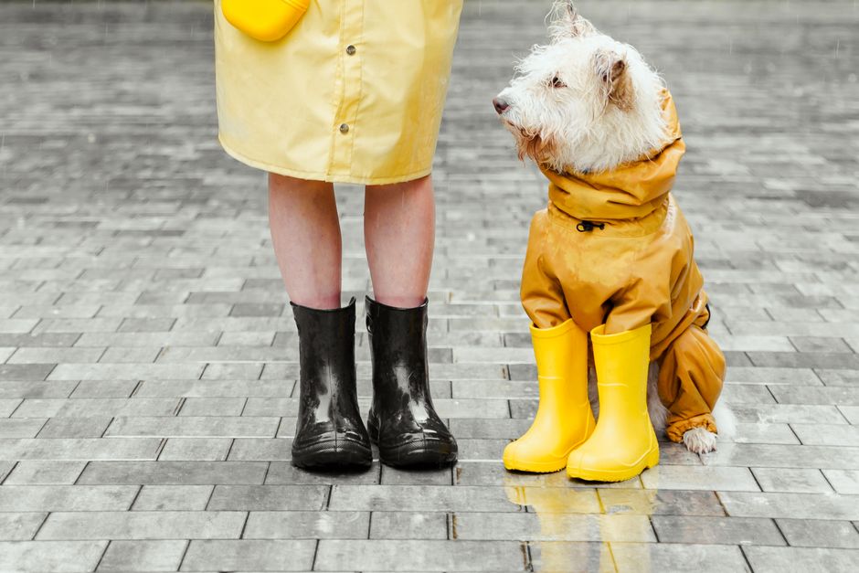 Dicas para cuidar das roupas em dias de chuva: guia completo 2026
