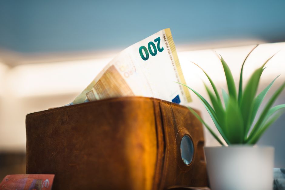 Dinheiro e uma planta decorativa representam gestão financeira e bem-estar no ambiente de trabalho.