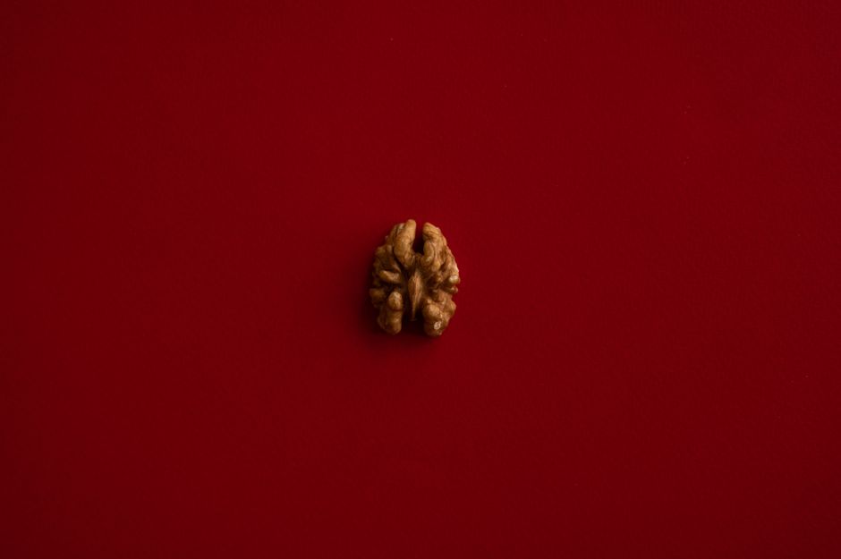 No centro da imagem, uma noz repousa sobre um fundo vermelho, destacando-se pelo contraste e simplicidade visual.