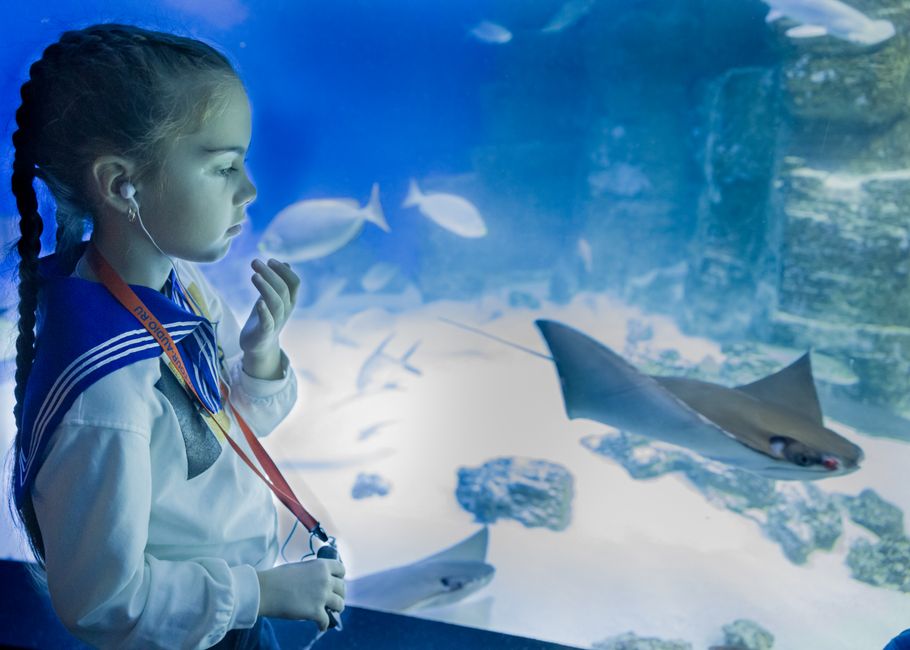 Uma menina observando peixes e um tubarão no aquário, representando exploração e educação marinha.