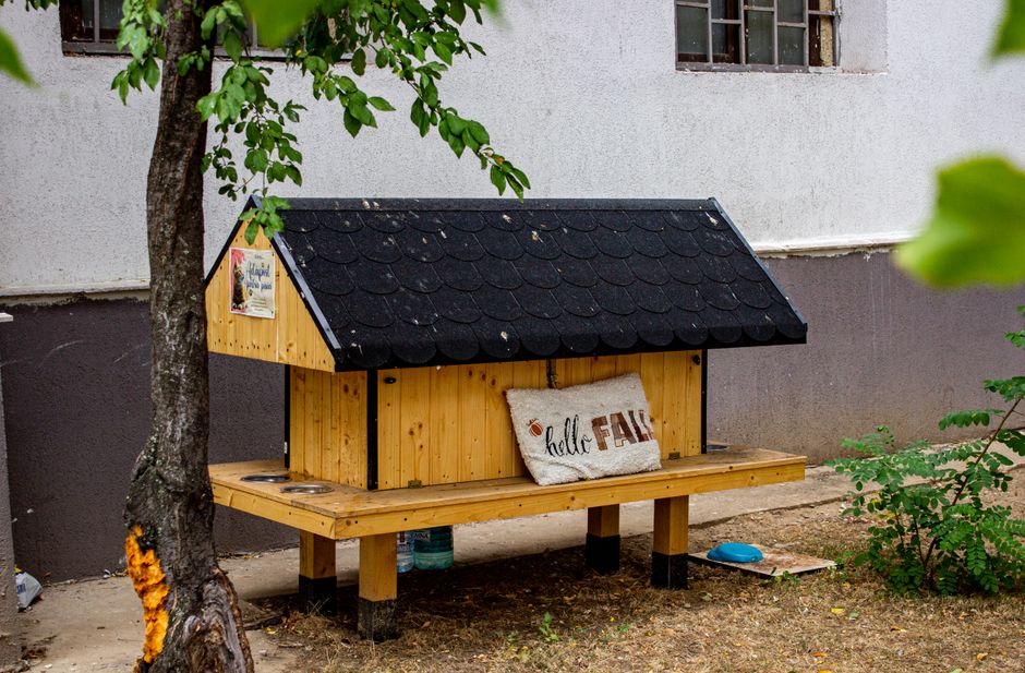 Casa para cães construída com materiais de madeira, situada ao ar livre com vegetação ao redor, ideal para conforto e diversão dos animais de estimação.
