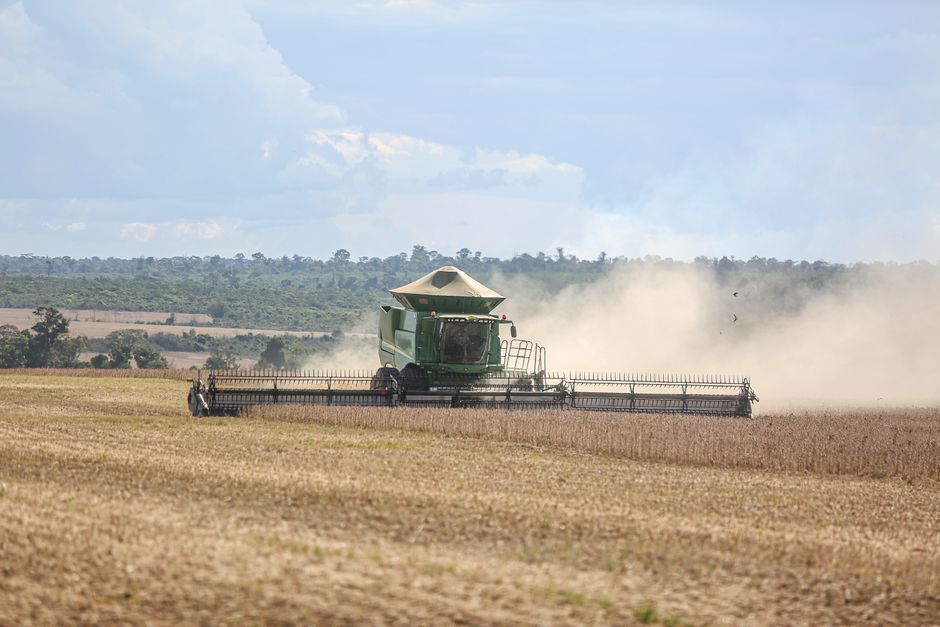 Conteúdos essenciais abordados nos cursos de agricultura sustentável