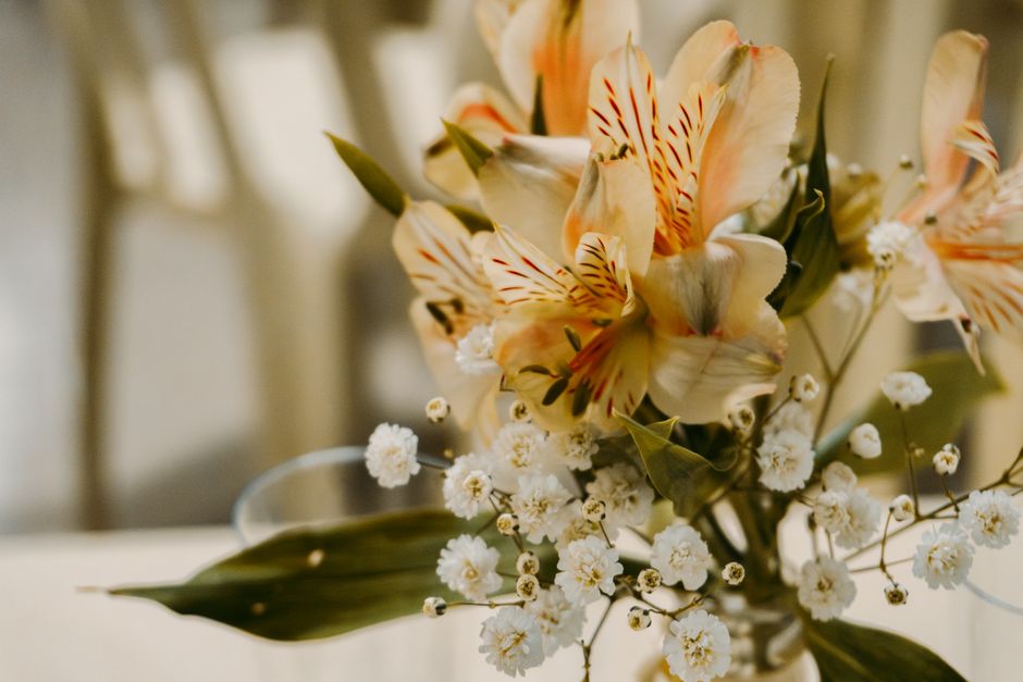 Dicas de Decoração com Flores para Iniciantes: Guia Completo 2026
