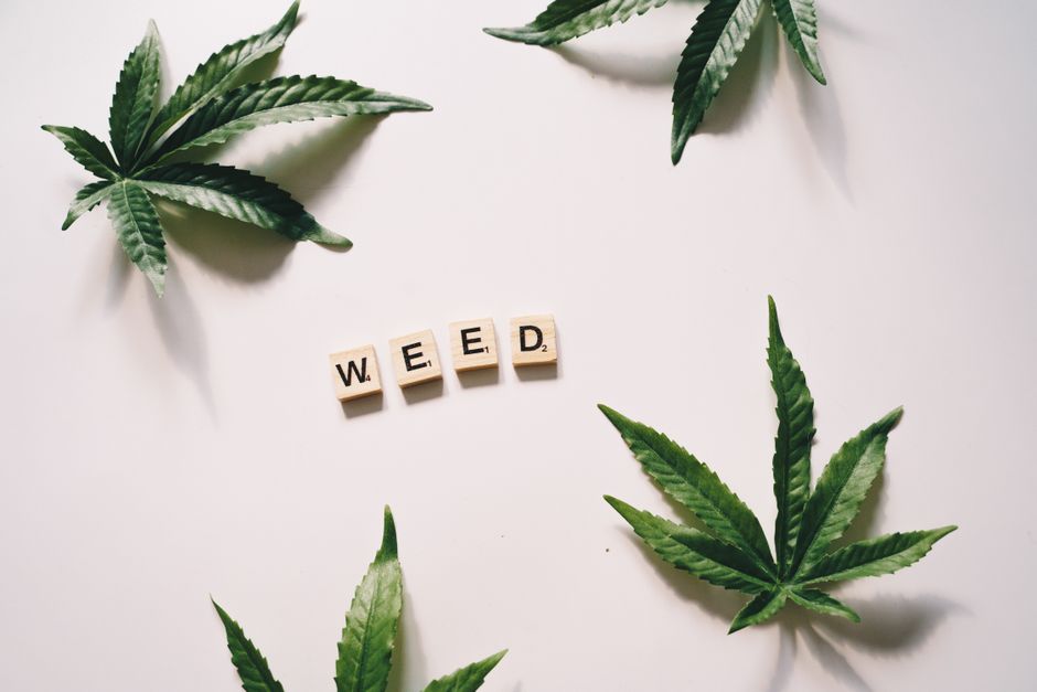 Melhores aplicativos para organizar o consumo de cannabis em 2026: guia completo